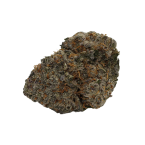 Oreo Cake // OZ Special