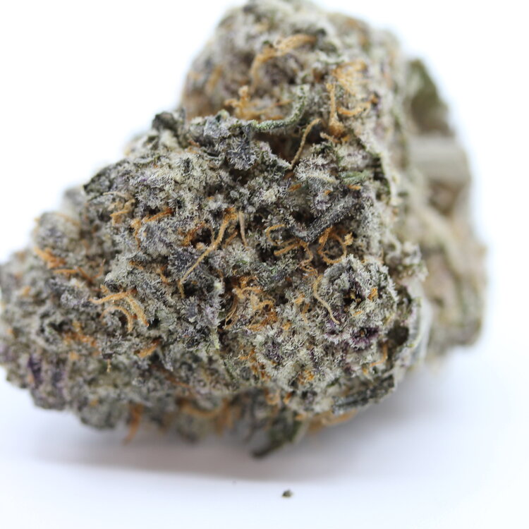 Oreo Cake // OZ Special