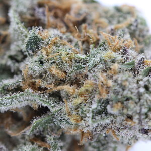Sweet Slurricane - 7g