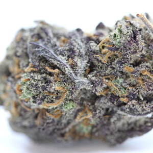 Funky Charms — 7g // Clearance