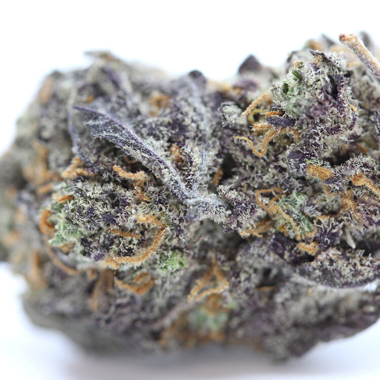 Funky Charms — 7g // Clearance