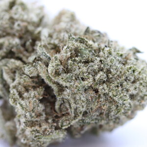 Kali Mist // OZ Super Saver Special