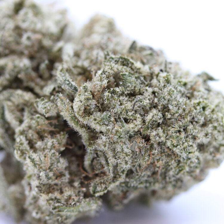 Kali Mist // OZ Super Saver Special