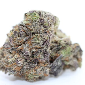 Pink Death // OZ Special