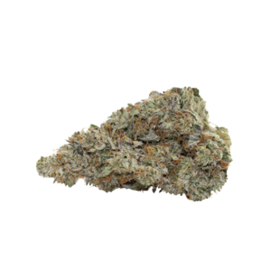 Platinum Pink // OZ Special