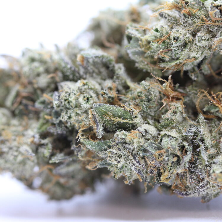 Platinum Pink
