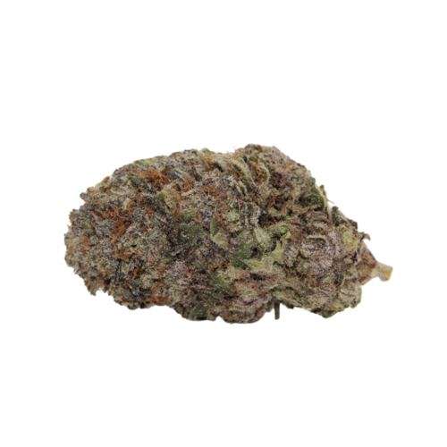 Blueberry - 10g Blueberry - 10g