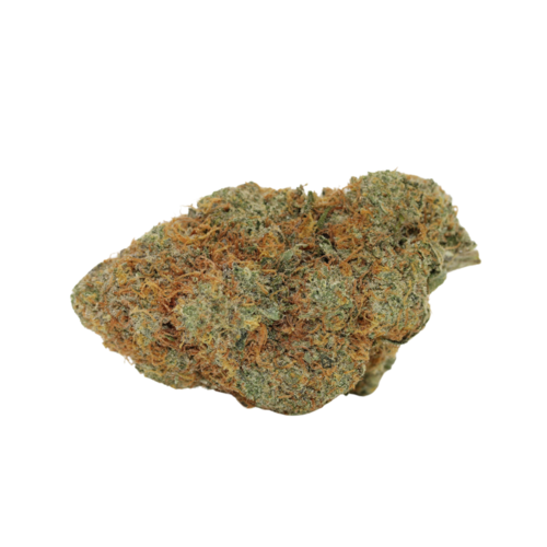 Cannalope Haze // OZ Special Cannalope Haze // OZ Special