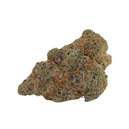 Gelato // OZ Super Saver Special Gelato // OZ Super Saver Special
