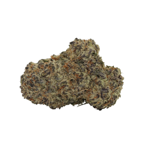 Purple Rainbow // OZ Special Purple Rainbow // OZ Special