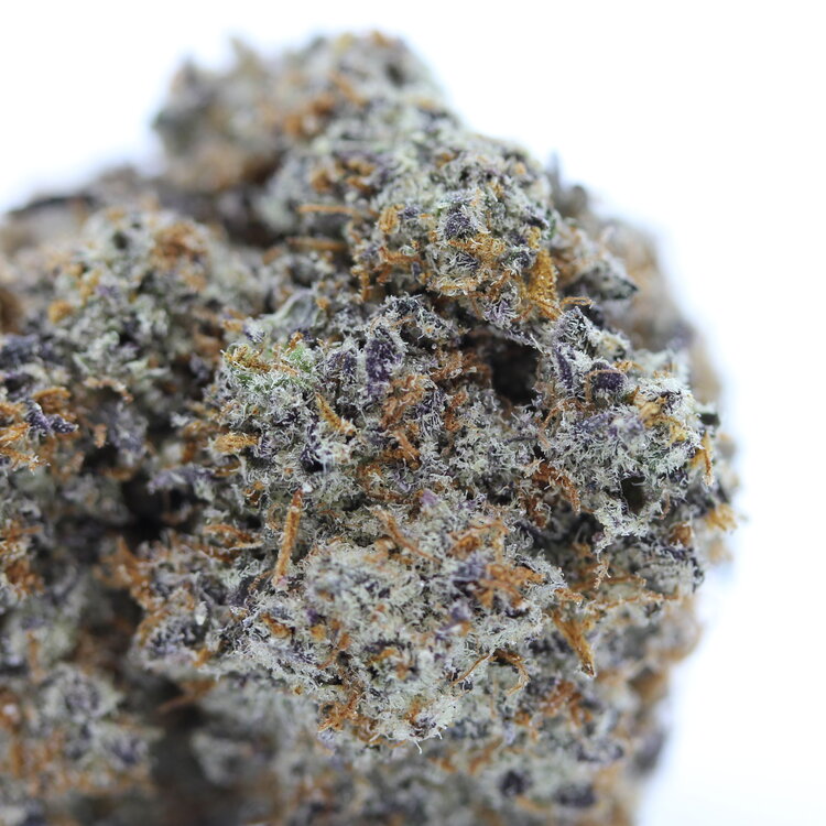 Galactic Runtz // OZ Special