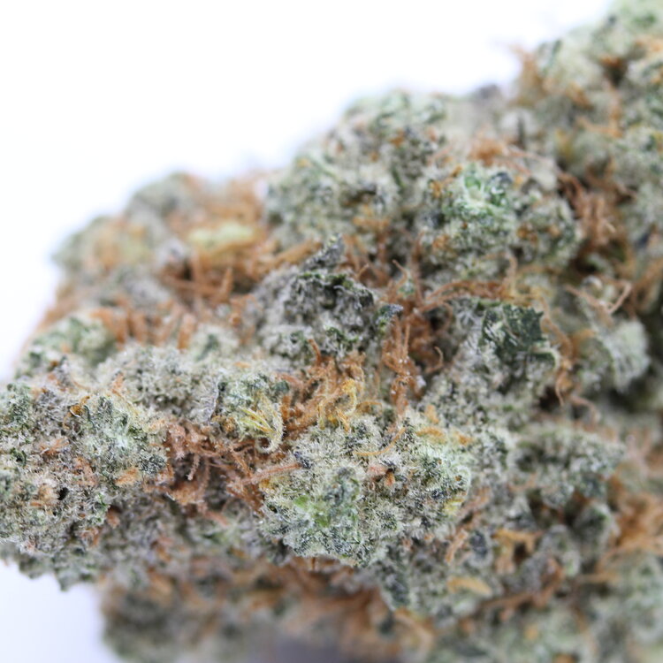 Double OG // OZ Super Saver Special