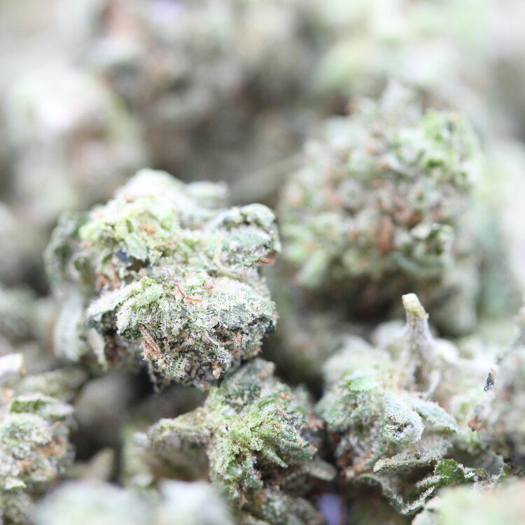 Popcorn Rockstar // OZ Super Saver Special