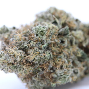 L.S.O. Frosted Fruit Cake // OZ Special