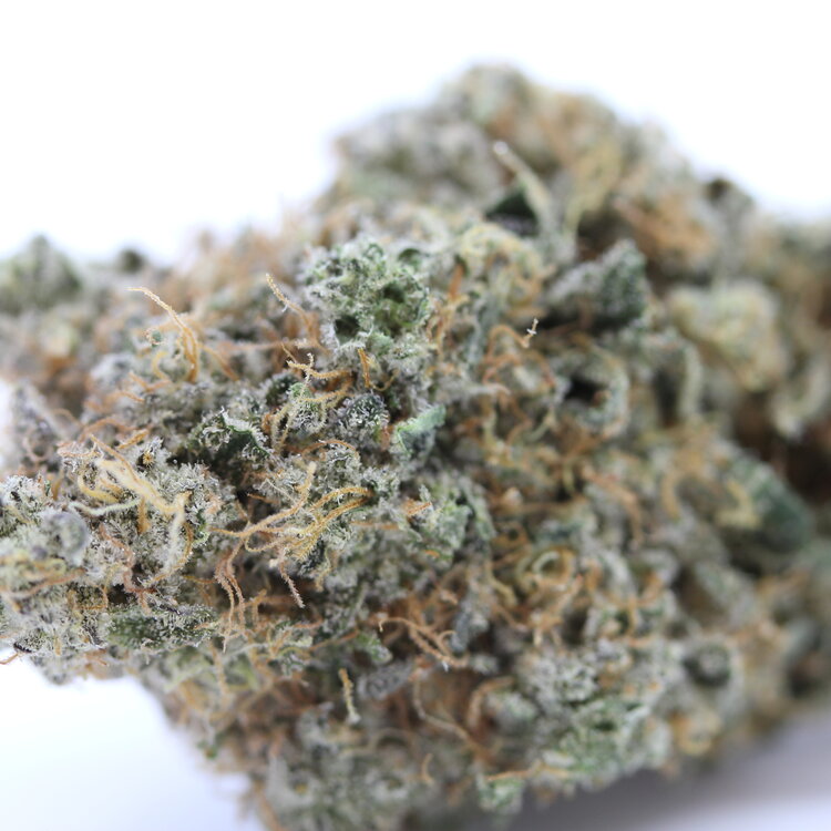 L.S.O. Frosted Fruit Cake // OZ Special