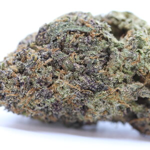 Toasted Strudel // OZ Super Saver Special
