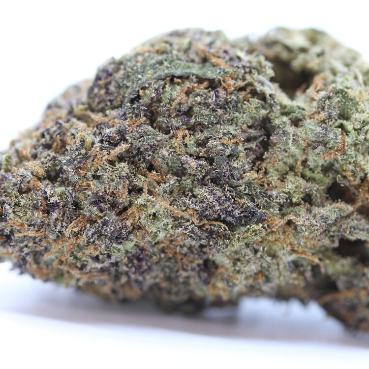 Toasted Strudel // OZ Super Saver Special