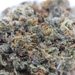 Cherry Gas // OZ Special