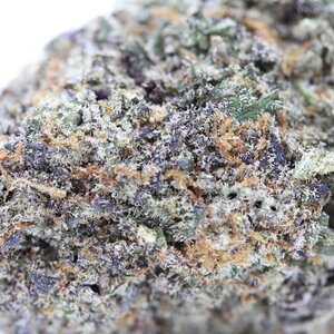 Gorilla Glue #5