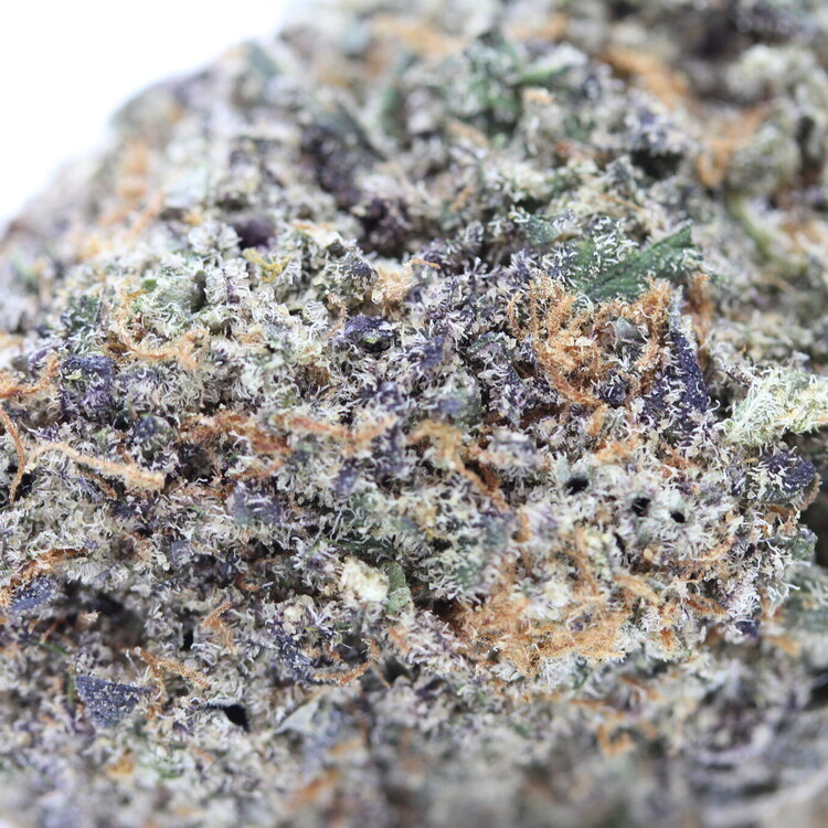 Gorilla Glue #5