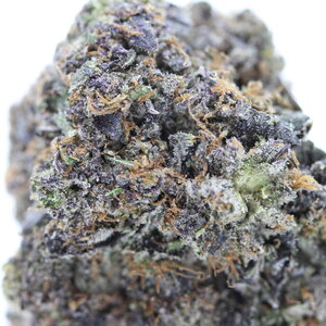Tuna Kush