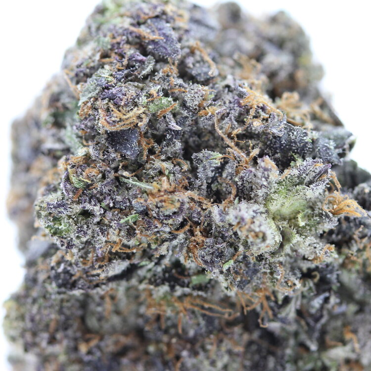 Tuna Kush