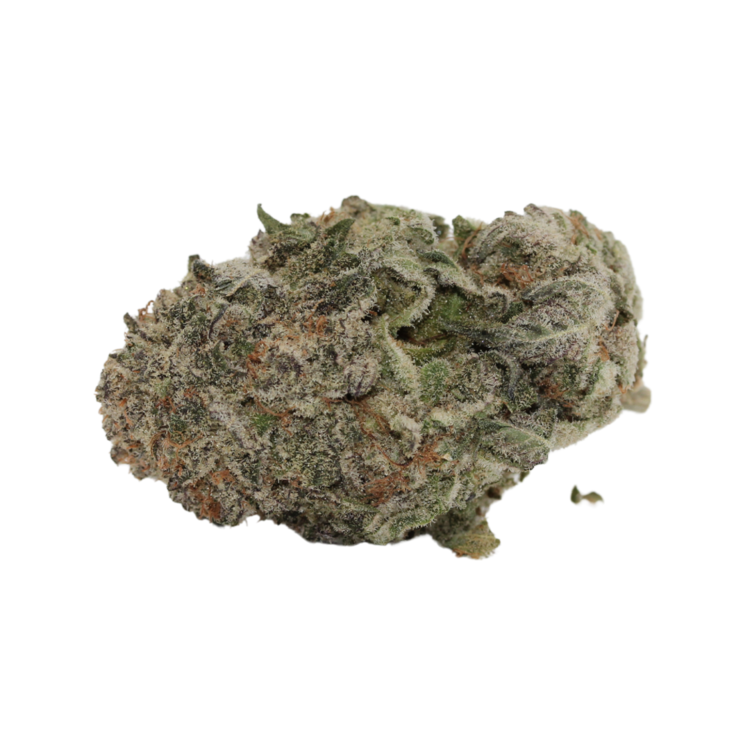 Blackberry // OZ Special