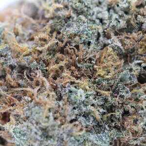Cannalope Haze -7g