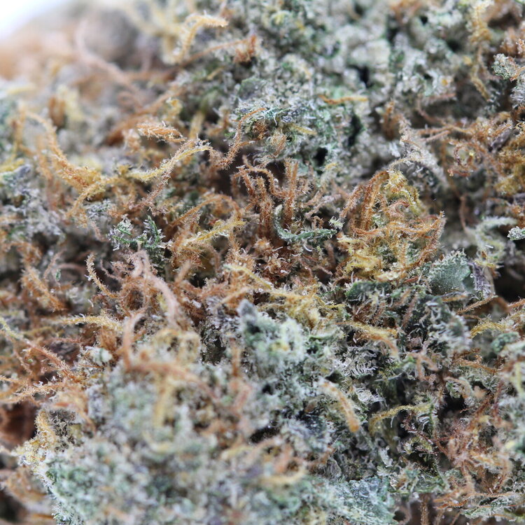 Cannalope Haze -7g