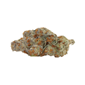 Astronaut Status #24 // OZ Special