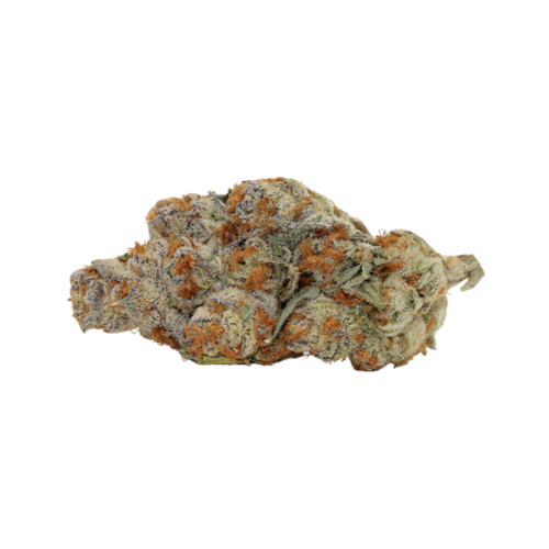 Astronaut Status #24 // OZ Special Astronaut Status #24 // OZ Special