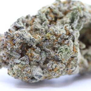 Kush Mintz // OZ Special