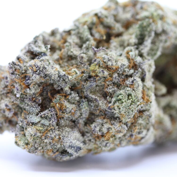 Kush Mintz // OZ Special