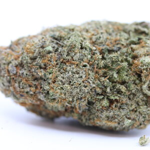 Ice Cream Cake // OZ Special