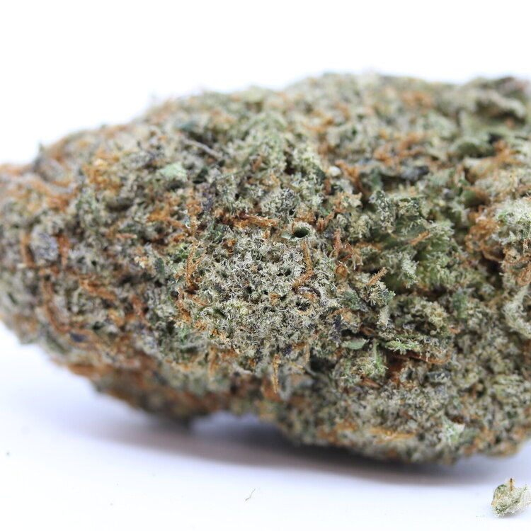 Ice Cream Cake // OZ Special