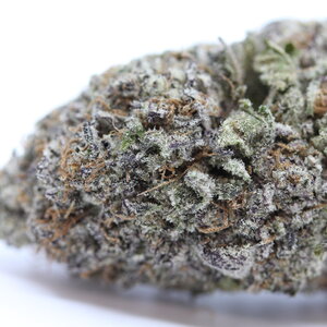 Permanent Marker // OZ Special