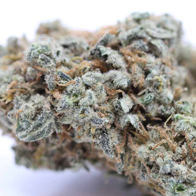 Wedding Cake // OZ Super Saver Special