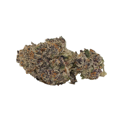 Black Truffle Black Truffle