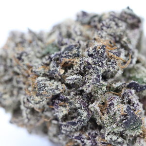 Black Truffle