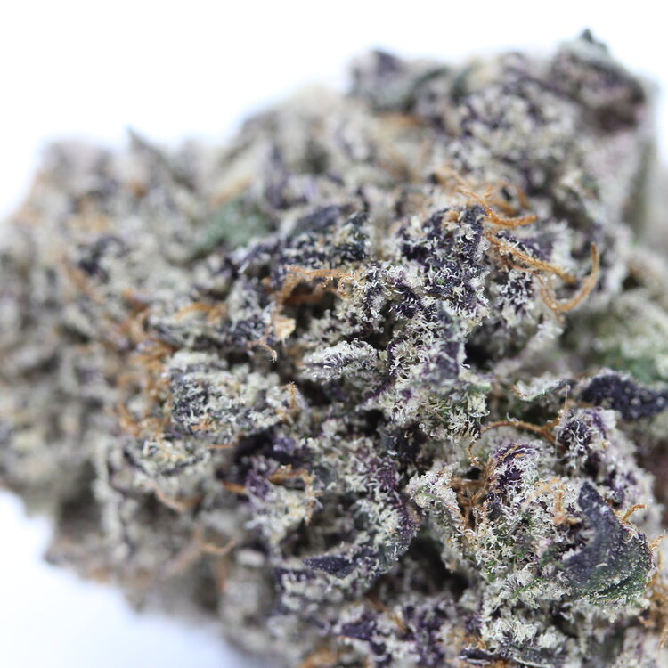 Black Truffle