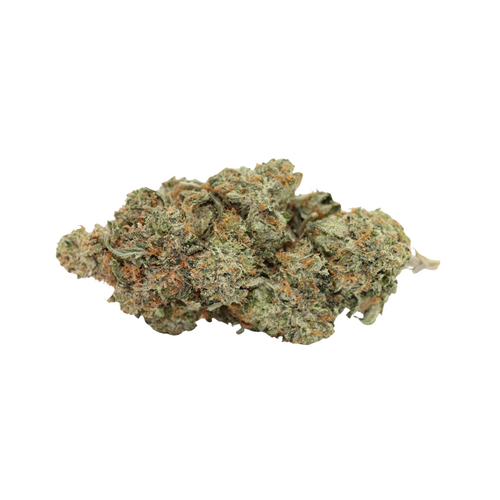 Tuna Breath // OZ Special Tuna Breath // OZ Special