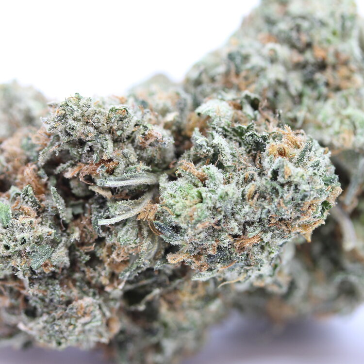 Tuna Breath // OZ Special