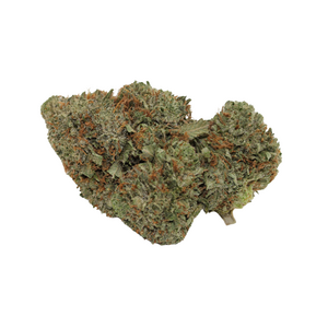 Rockstar // OZ Special