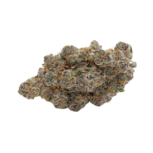 Candyland // OZ Special