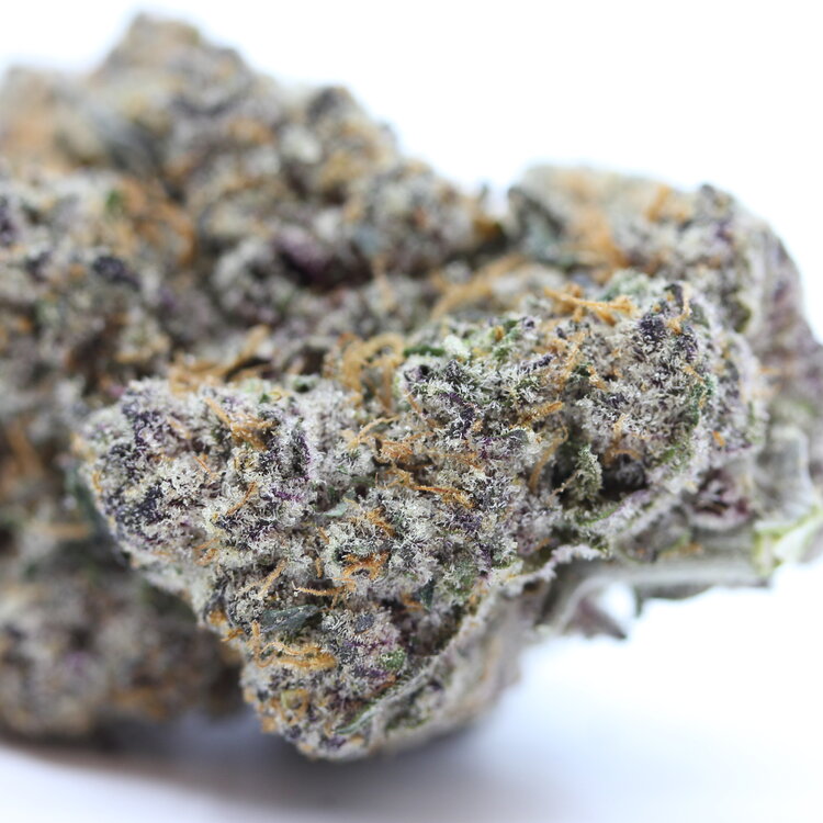 Candyland // OZ Special