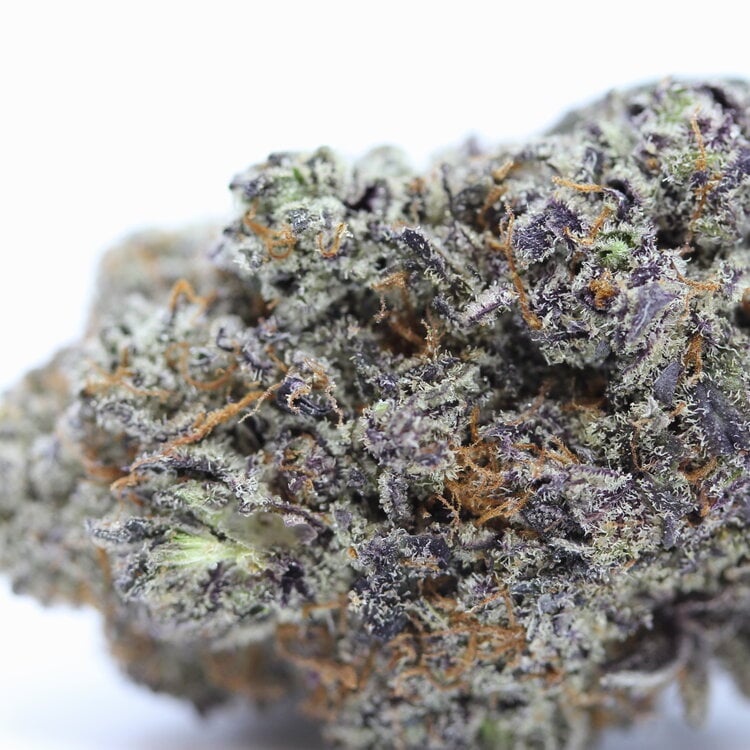 Purple Pink Kush // OZ Special