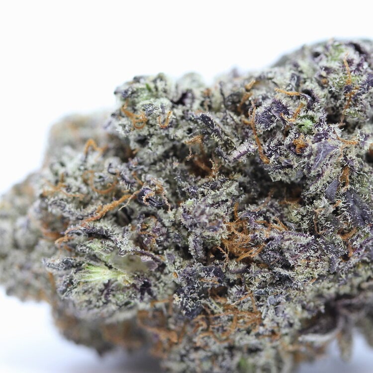 Purple Pink Kush