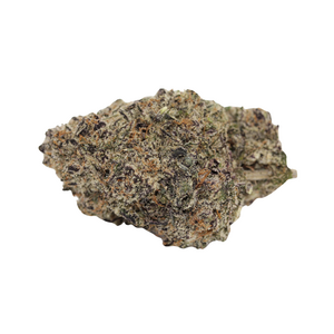 Black Truffle // OZ Special