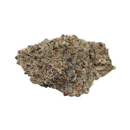 Black Truffle // OZ Special