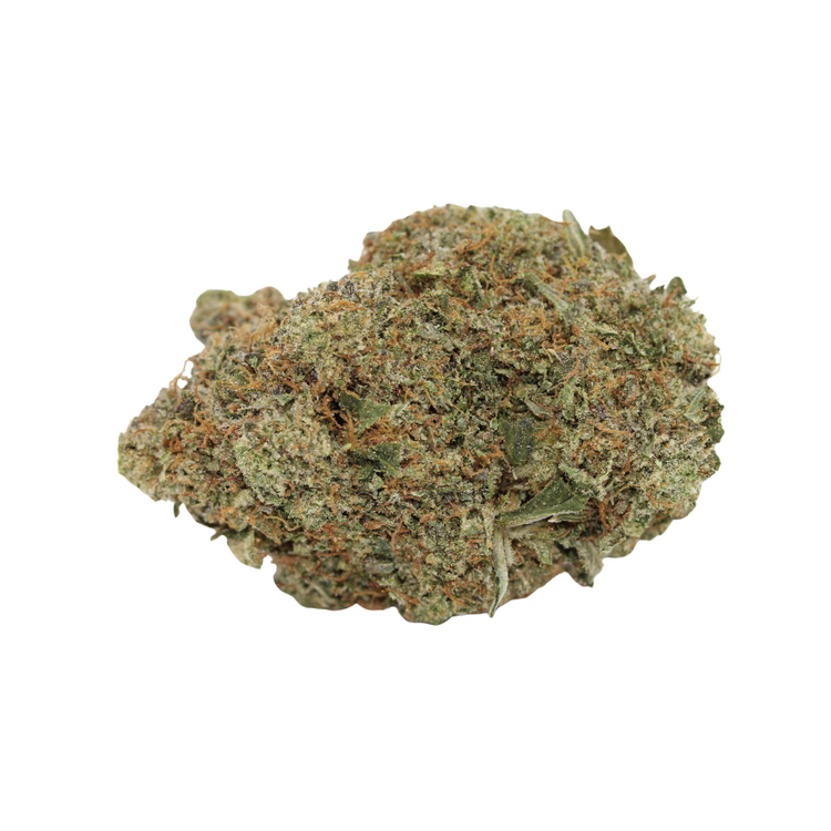 Platinum Pink // OZ Special